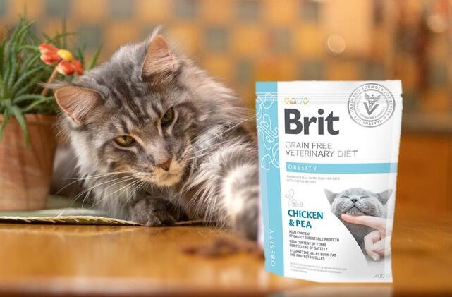 Brit GF Veterinary Diets Cat Obesity - 2