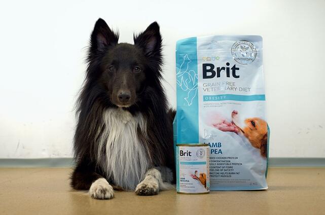 Brit GF Veterinary Diets Dog Obesity - 2