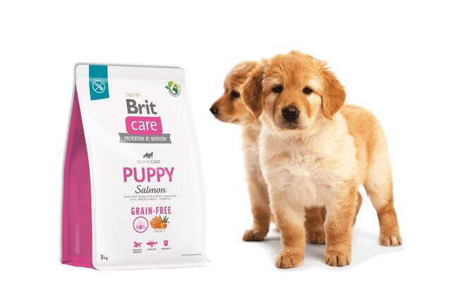 Brit Care Dog Grain-free Puppy - 2