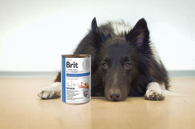 Brit GF Veterinary Diets Dog + Cat Can Recovery 400 g - 2