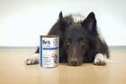Brit GF Veterinary Diets Dog + Cat Can Recovery 400 g - 2/2