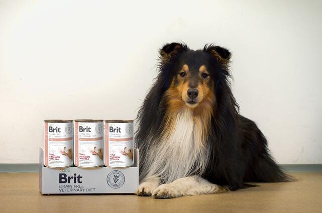 Brit GF Veterinary Diets Dog Can Renal 400 g - 2