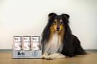 Brit GF Veterinary Diets Dog Can Renal 400 g - 2/3