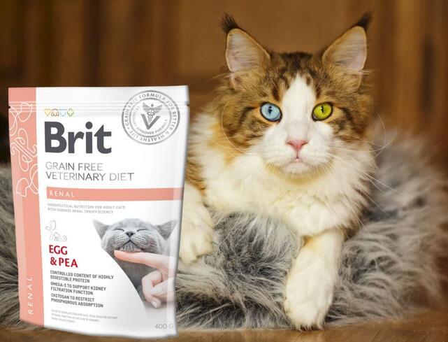 Brit GF Veterinary Diets Cat Renal - 2