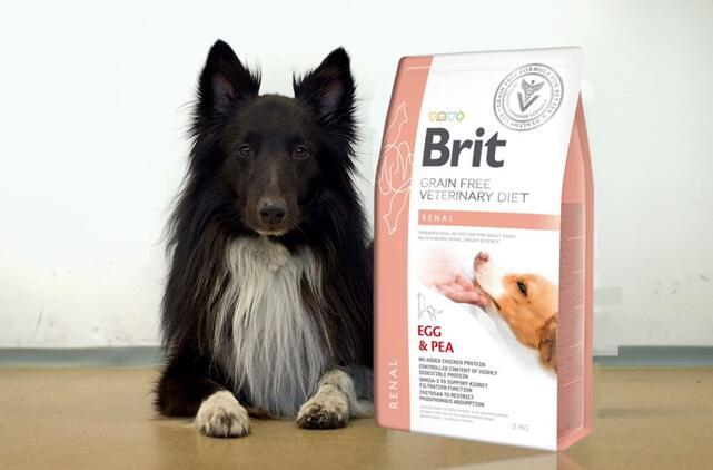 Brit GF Veterinary Diets Dog Renal - 2