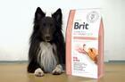 Brit GF Veterinary Diets Dog Renal - 2/3