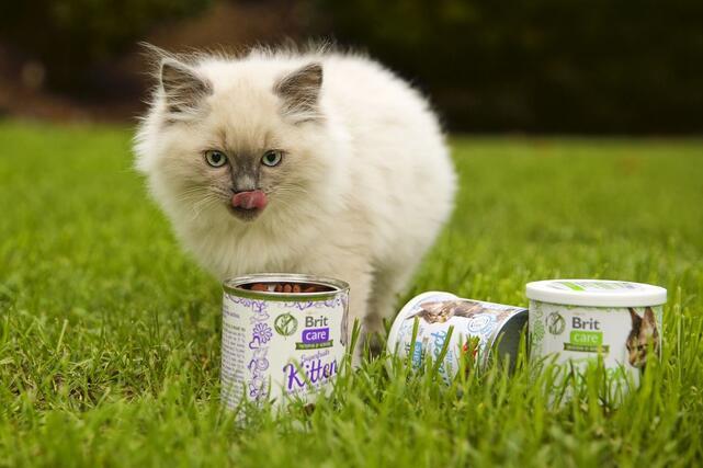 Brit Care Cat Snack Superfruits Kitten 100 g - 2