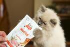 Brit Care Cat Grain-Free INDOOR ANTI-STRESS - 2/2