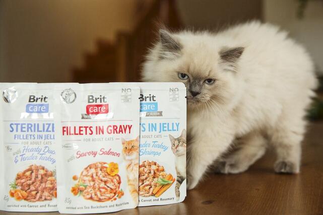 Brit Care Cat Fillets in Jelly with Tender Turkey & Shrimps 85 g - 2