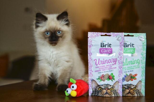 Brit Care Cat Snack Urinary 50 g - 2