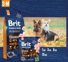 Brit Premium by Nature Senior S+M - 2/5