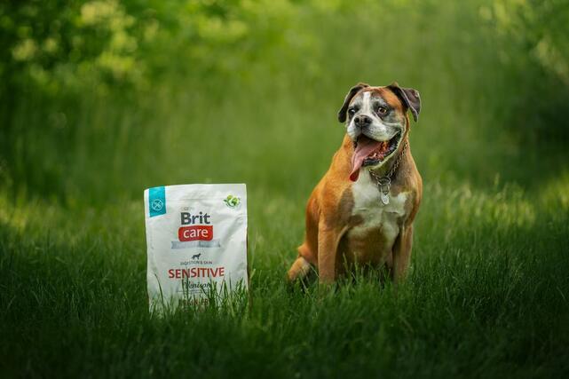 Brit Care Dog Grain-free Sensitive - 2