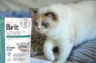 Brit GF Veterinary Care Cat Sterilised - 2/3