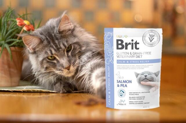 Brit GF Veterinary Diets Cat  Calm & Stress Relief - 2