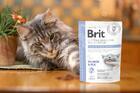 Brit GF Veterinary Diets Cat  Calm & Stress Relief - 2/3