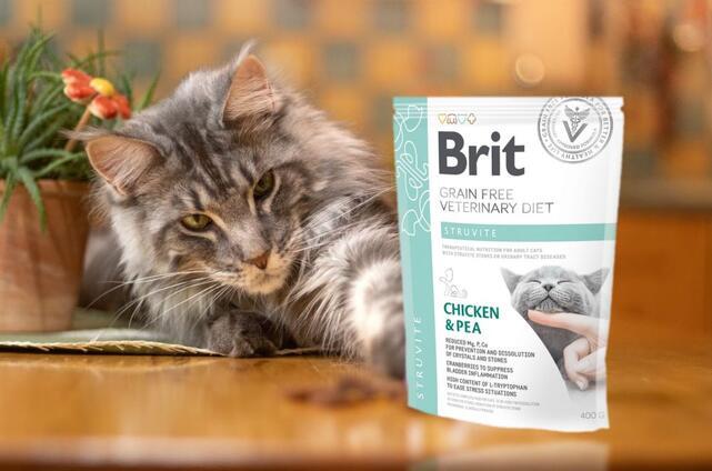 Brit GF Veterinary Diets Cat Struvite - 2
