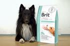 Brit GF Veterinary Diets Dog Struvite - 2/3