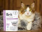 Brit GF Veterinary Diets Cat Ultra-hypoallergenic - 2/3