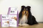 Brit GF Veterinary Diets Dog  Ultra-hypoallergenic - 2/3