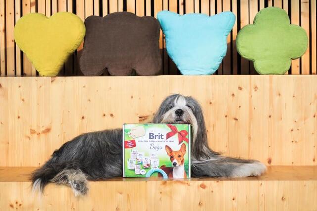 BRIT HEALTHY & DELICIOUS PRESENT FOR DOGS 2023  - 3