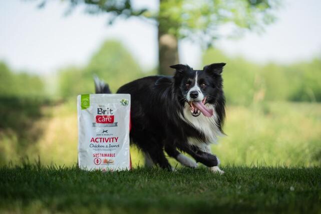 Brit Care Dog Sustainable Activity - 3