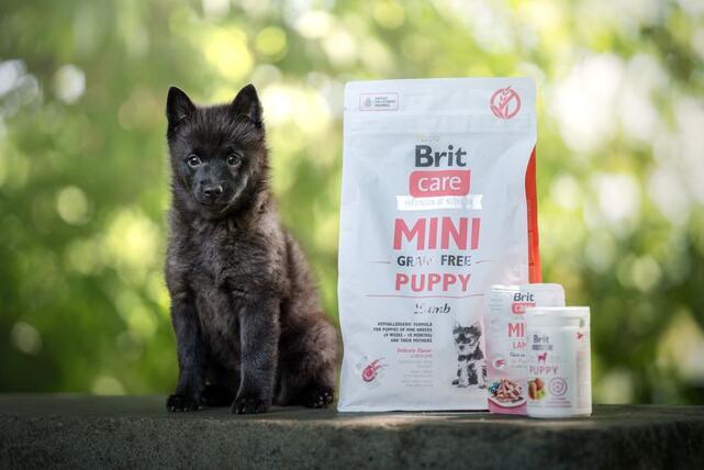 Brit Care Mini Grain Free Puppy - 3