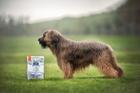 Brit Care Dog Hypoallergenic Dog Show Champion - 3/5