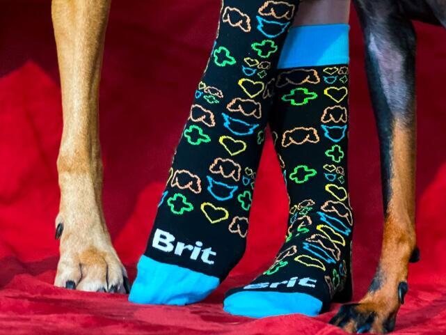 Brit Soft Socks  - 3