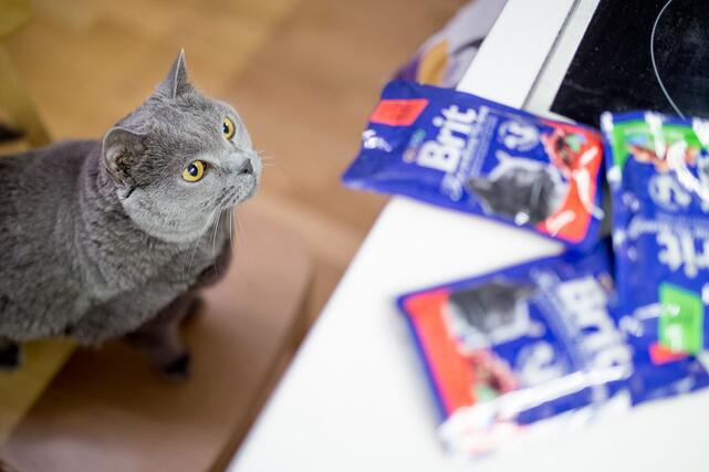 Brit Premium Cat Delicate Fillets in Gravy with Tuna 85 g - 3