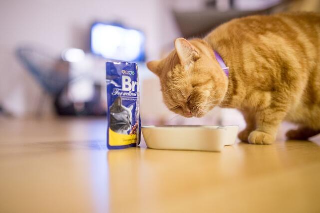 Brit Premium Cat Delicate Fillets in Gravy with Salmon for Sterilised 85 g - 3