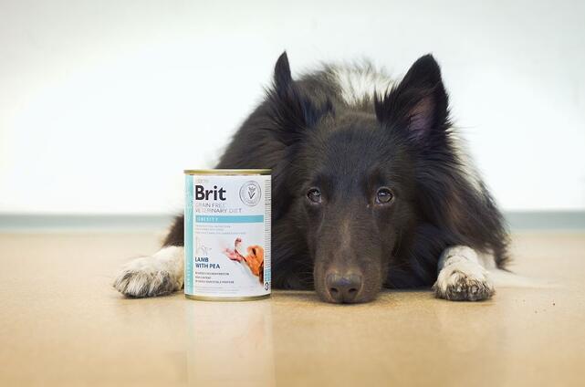 6 x Brit GF Veterinary Diets Dog Can Obesity 400 g ZA VÝHODNOU CENU - 3