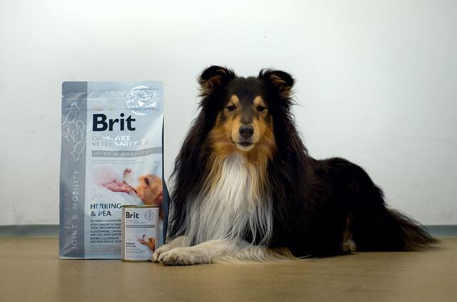Brit GF Veterinary Diets Dog Joint & Mobility - 3