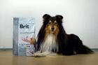 Brit GF Veterinary Diets Dog Joint & Mobility - 3/4