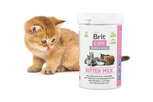 Brit Care Kitten Milk 250 g - 3