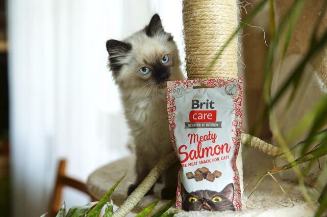 Brit Care Cat Snack Meaty Salmon 50 g - 3