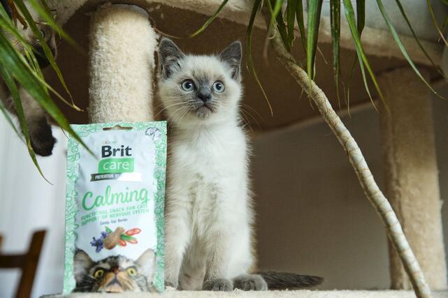 Brit Care Cat Snack Calming 50 g - 3
