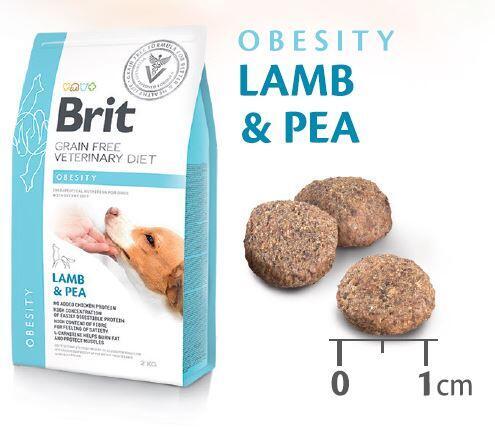 Brit GF Veterinary Diets Dog Obesity - 3