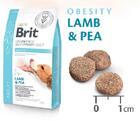 Brit GF Veterinary Diets Dog Obesity - 3/3