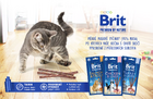 Brit Premium by Nature Cat Sticks with Salmon & Trout 15 g - 3/3