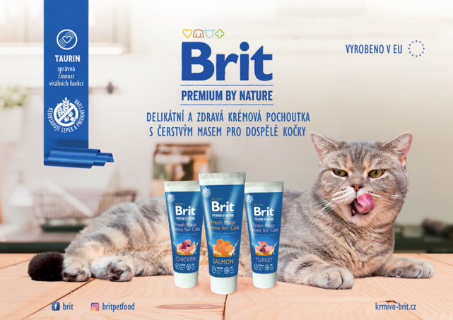 Brit Premium by Nature Turkey Fresh Meat Créme 75 g - 3