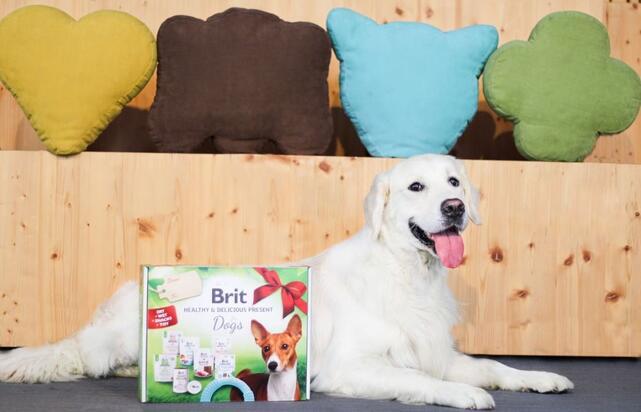 BRIT HEALTHY & DELICIOUS PRESENT FOR DOGS 2023  - 4
