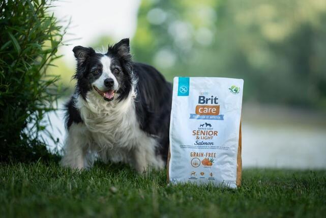 Brit Care Dog Grain-free Senior & Light - 4