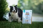 Brit Care Dog Grain-free Senior & Light - 4/7