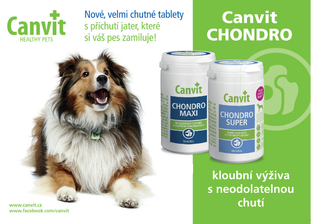 Canvit Chondro - 4