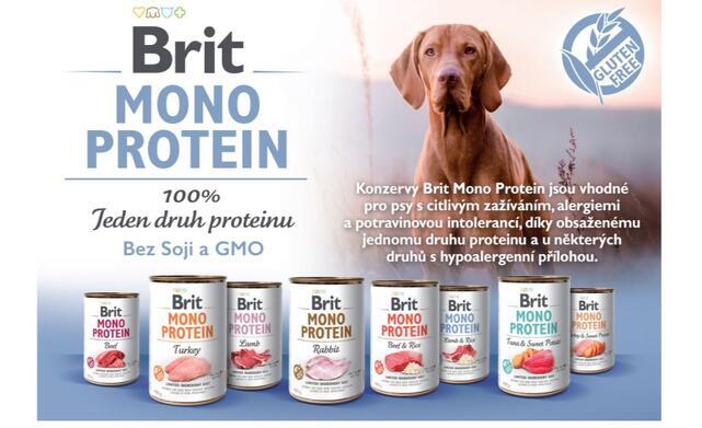 Brit Mono Protein Beef & Brown Rice 400 g - 4