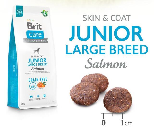 Brit Care Dog Grain-free Junior Large Breed - 4