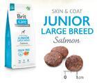 Brit Care Dog Grain-free Junior Large Breed - 4/4