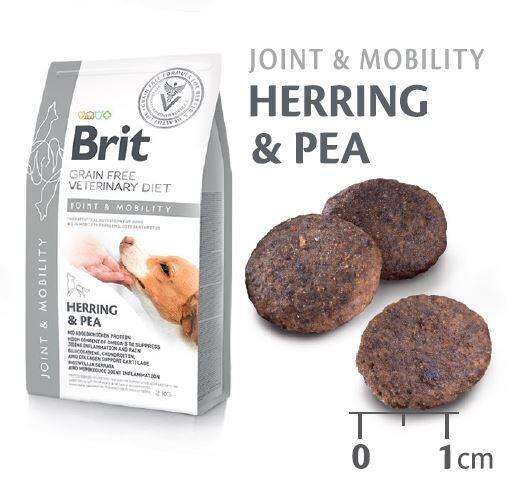 Brit GF Veterinary Diets Dog Joint & Mobility - 4