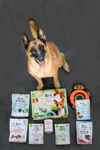 BRIT HEALTHY & DELICIOUS PRESENT FOR DOGS 2023  - 5