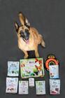 BRIT HEALTHY & DELICIOUS PRESENT FOR DOGS 2023  - 4/6